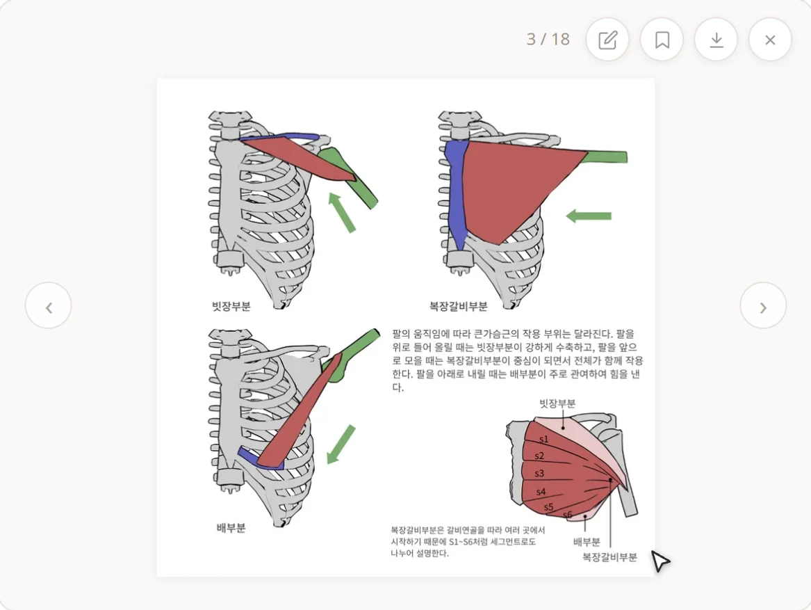 글자를 지우고 필요한 부분만 골라 해부학 자료를 MP4로 저장하는 자료 추출 화면