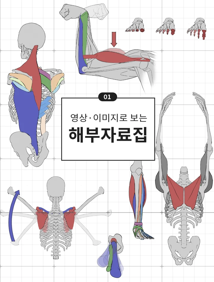 해부자료집