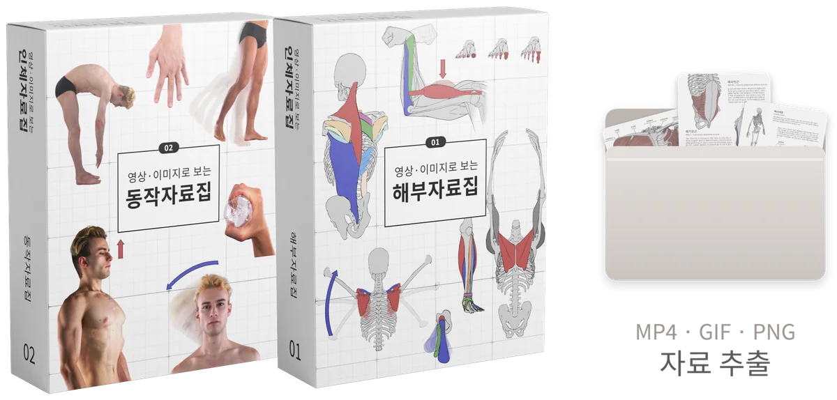 해부자료집 01 · 동작자료집 02, 두 권을 함께
