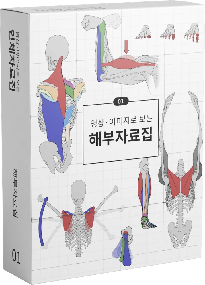해부 자료집 01 — 영상·이미지로 보는 해부 자료집