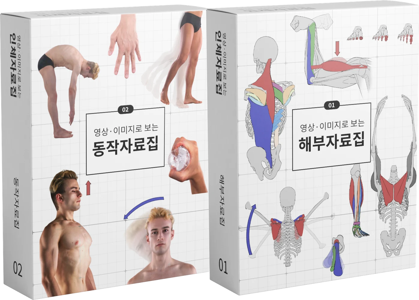 해부 자료집 01 · 동작 자료집 02 — 두 권을 함께