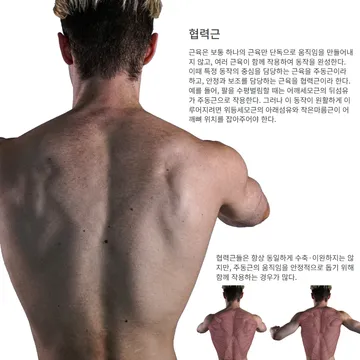 협력근 OFF