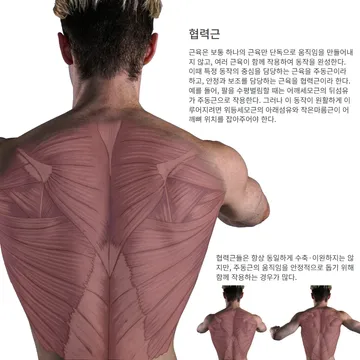협력근