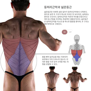 실사